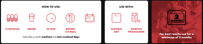 How to Use BrutalForce OstaBulk