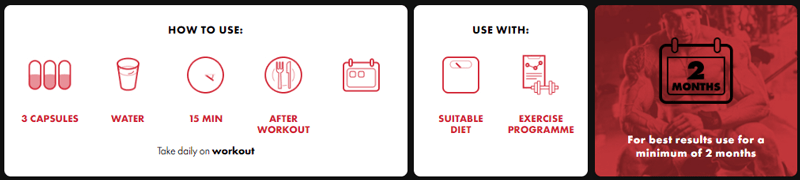 How to Use BrutalForce AndaLean