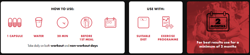 How to Use BrutalForce IbutaLean