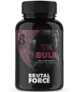 YkBulk Review